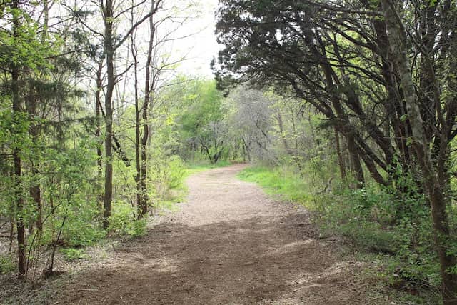 Cedar Mountain - Dallas County Nature Preserve - Image 1