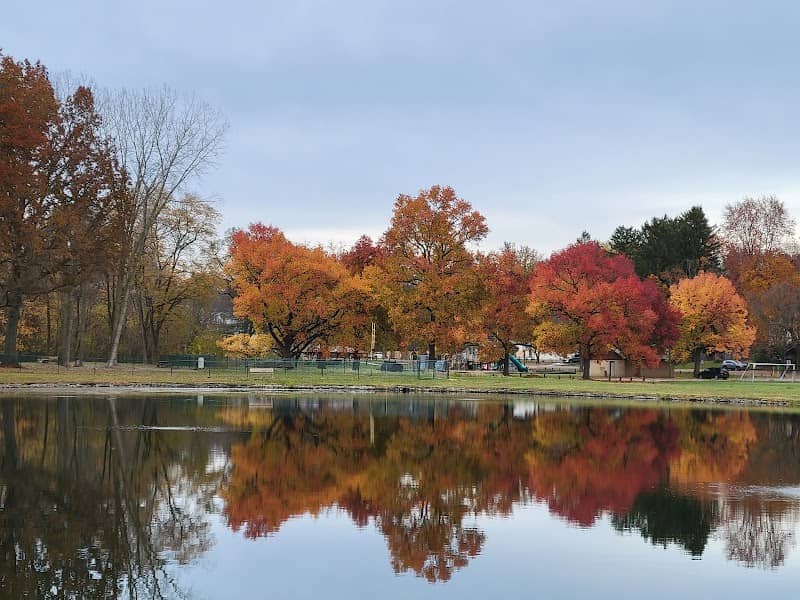 Schellin Park - Image 2