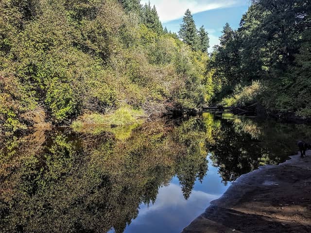 Sarah Helmick State Recreation Site - Image 1