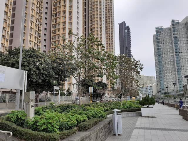 Aldrich Bay Promenade - Image 1