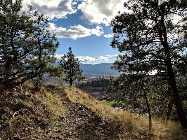 Dilworth Mountain Water Tower - Image 3