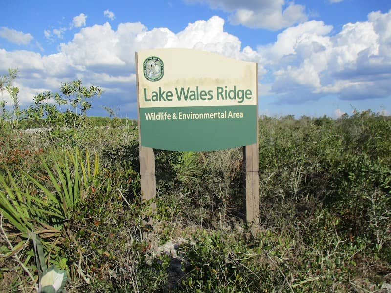 Lake Wales Ridge Wildlife and Environmental Area, Gould Road Tract - Image 2