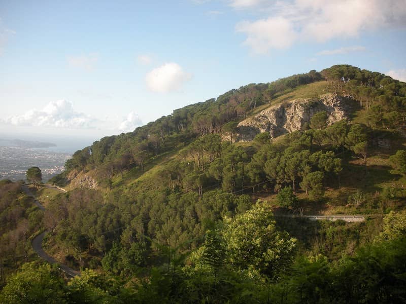 Monte Migliardo - Image 1