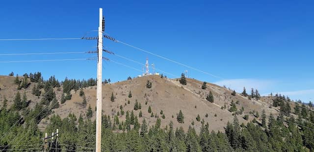 Tower Trail Lookout - Image 3