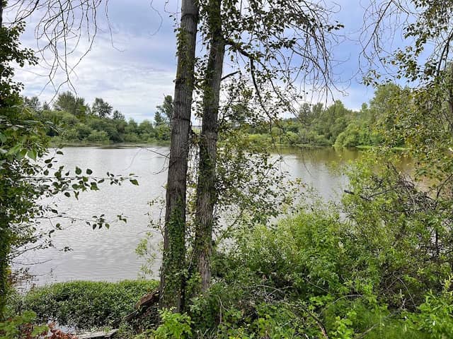 Hidden pond - Image 2