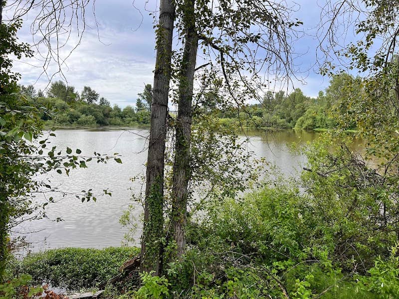 Hidden pond - Image 2