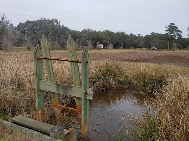 Ernest F. Hollings ACE Basin National Wildlife Refuge - Image 2