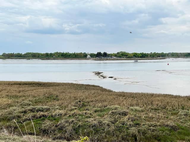 Saltings - Image 2