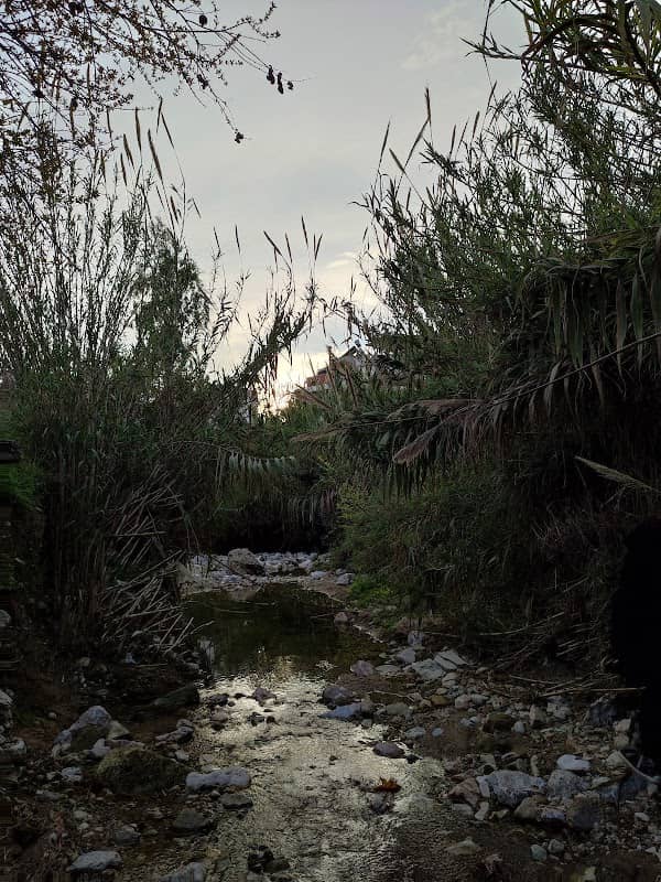 Ρέμα Πικροδάφνης - Image 1