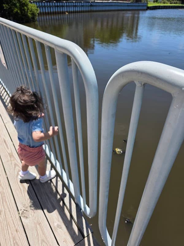 Dogwood Lake Observation Deck - Image 1