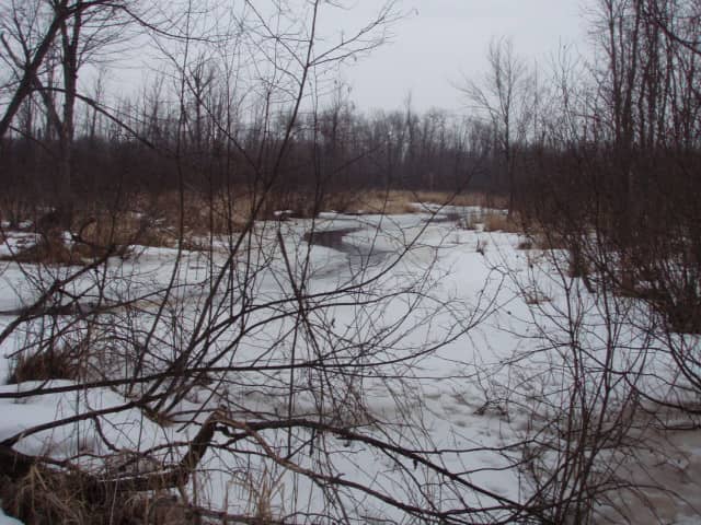 Riverbank Preserve - Image 2