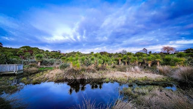 Edwards Pit Park - Image 2