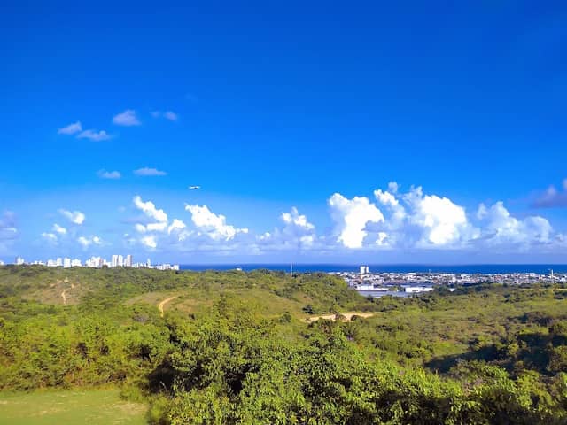 Lookout Henrique Dias - Image 2