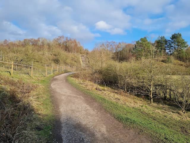 Baggeridge Country Park Car Park - Image 2