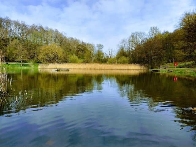 Baggeridge Country Park Car Park - Image 1