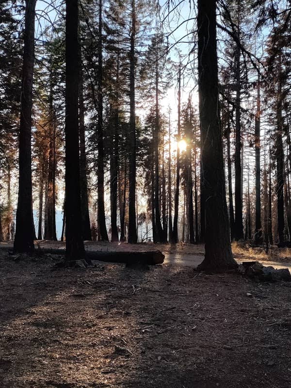 Board Tree Campground - Image 1