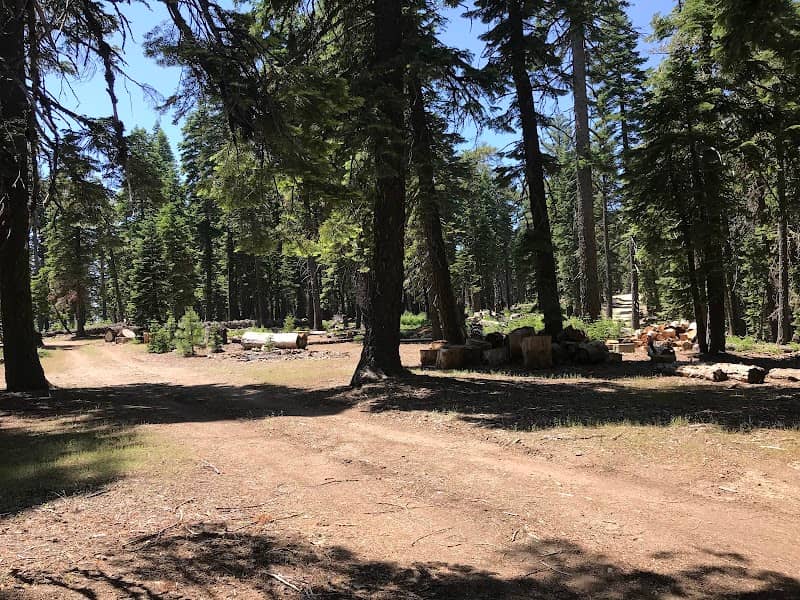 Board Tree Campground - Image 2