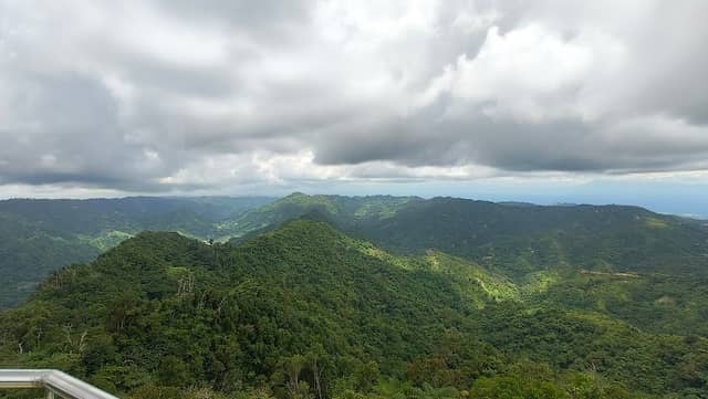 Mount Mannunggal Pinnacle Karst - Image 1