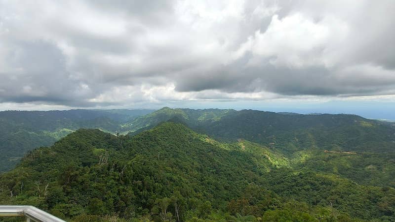 Mount Mannunggal Pinnacle Karst - Image 1