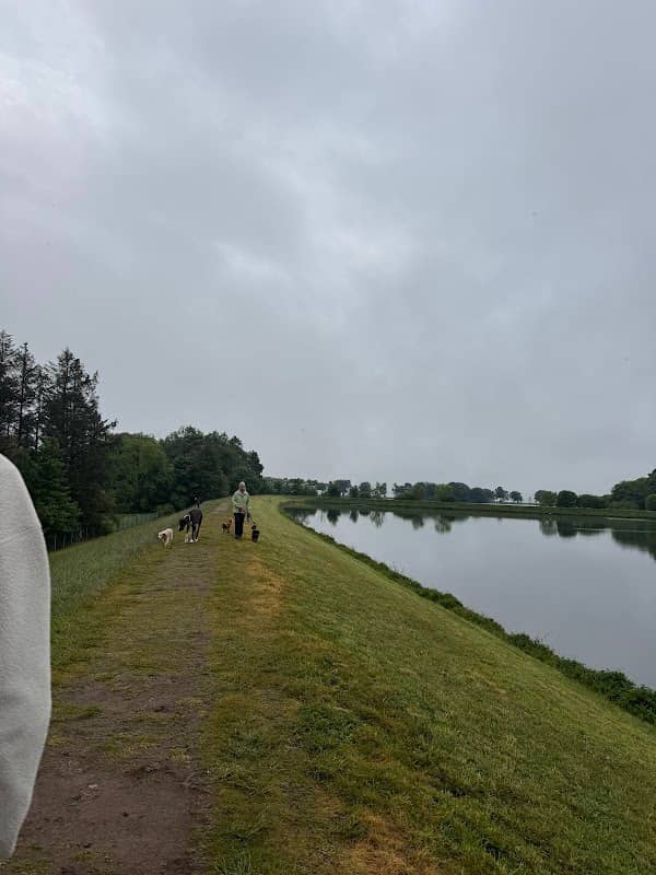 Monikie North Pond - Image 1