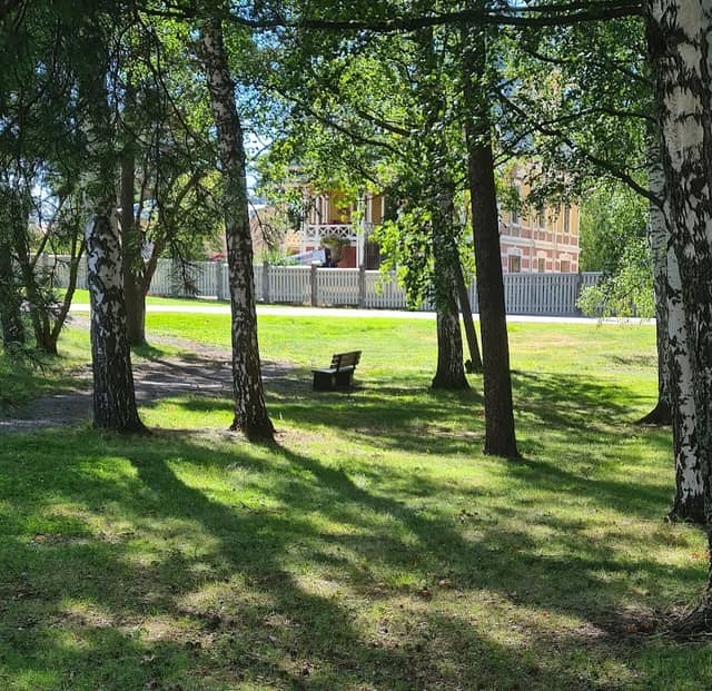 Heinen puisto - Image 2