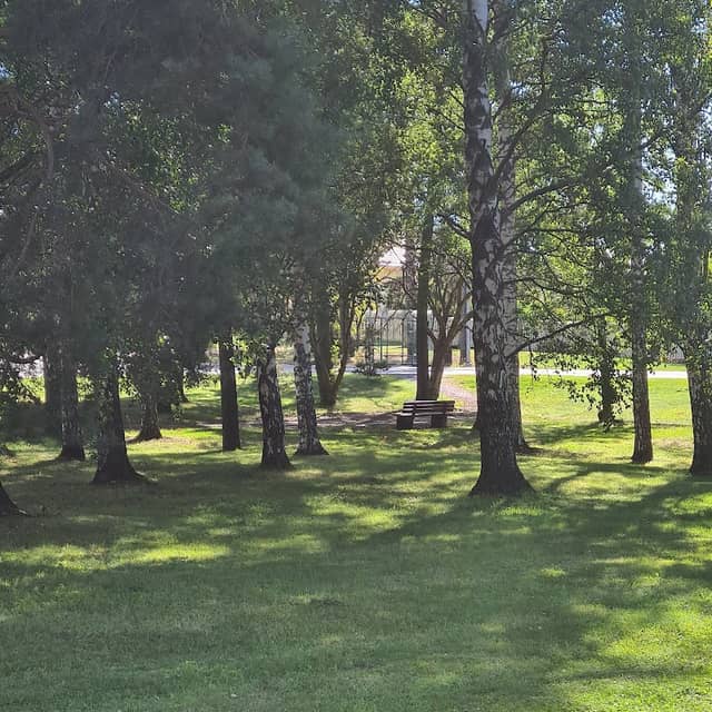 Heinen puisto - Image 1