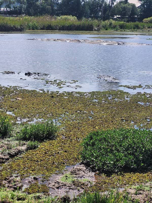 Manguo Hippo View Point - Image 1