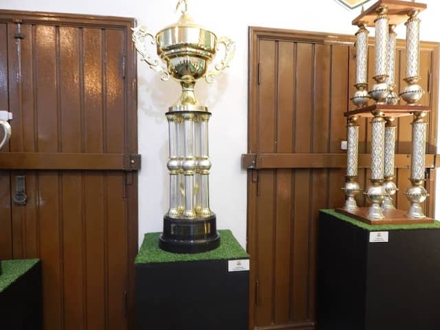 Memorial Mauro Silva - Image 1