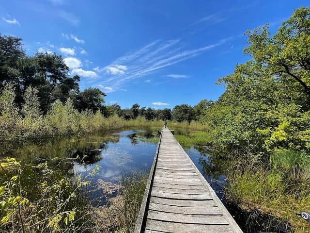 De Maasduinen National Park - Image 1