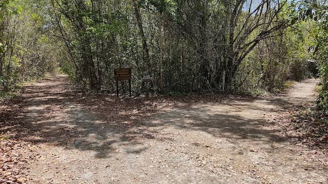 Aguada Tikal - Image 2