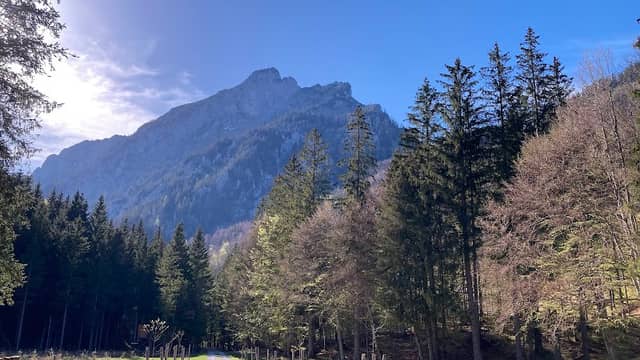 Traunstein Wandergebiet - Image 2