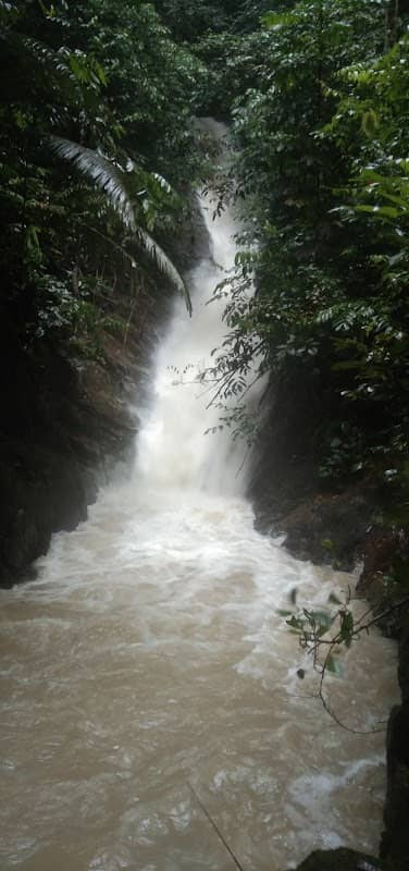 Bukit Empat Lima Lapan - Image 1