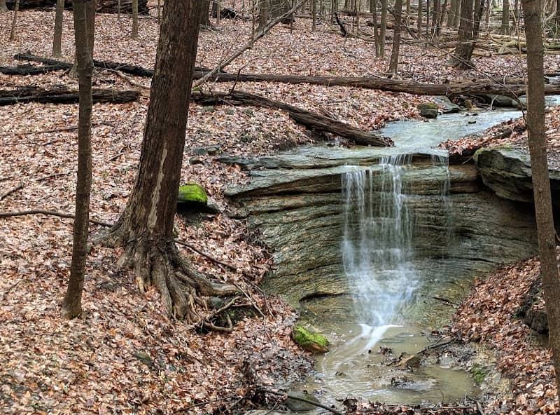 Cascade Park - Image 2