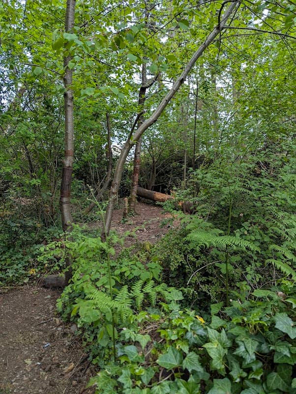 Bay Vista Preserve - Image 2