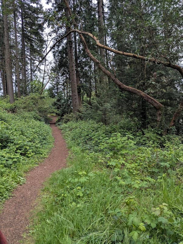 Bay Vista Preserve - Image 1