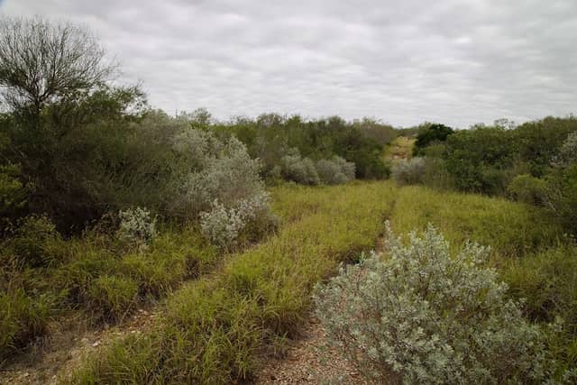 Lower Rio Grande Valley National Wildlife Refuge - La Puerta Tract - Image 2