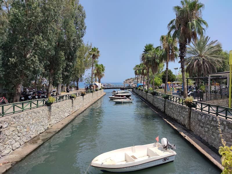 turunç koyu - Image 3