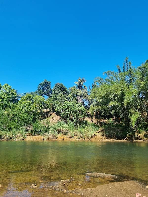 Kattangoda Mahaweli River - Image 1