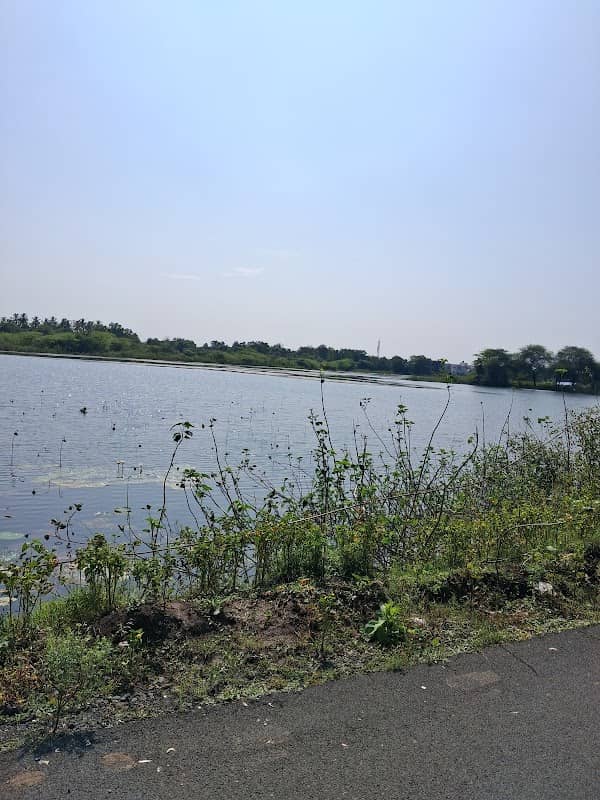 Bhadeli lake - Image 1