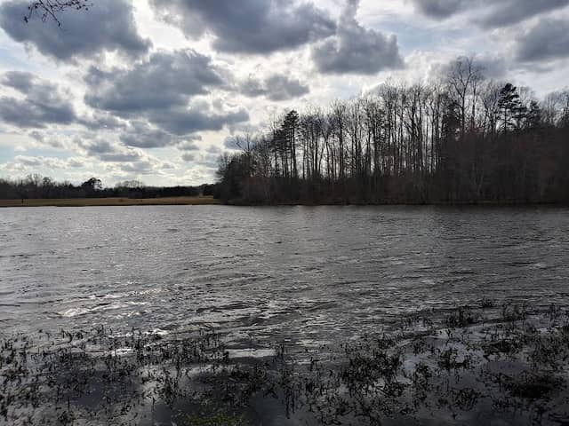 Cedar Grove Park - Image 2