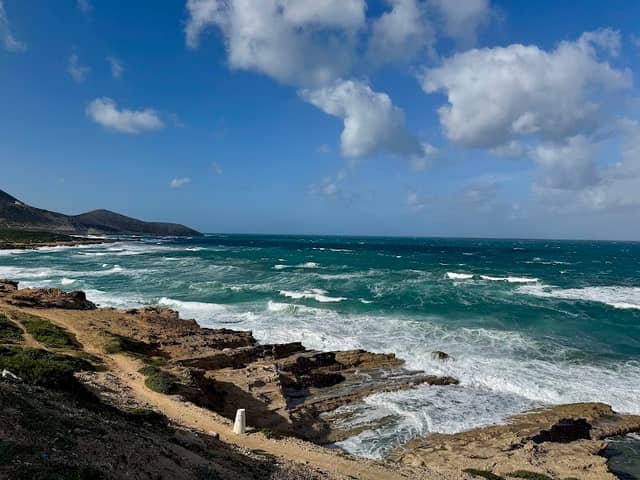 Cap Bizerte - Image 1