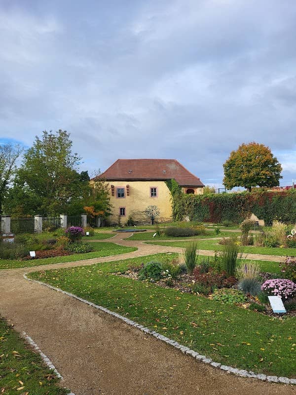 Hochzeitsbaum - Image 1
