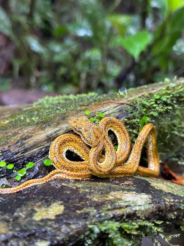 La fortuna tours - Image 3