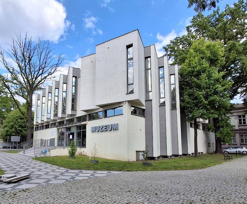 Regional Museum of the Kalisz in Kalisz - Image 1