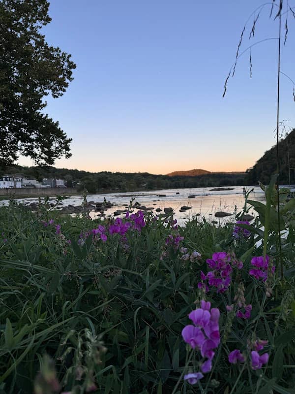 Fries Park - Image 1