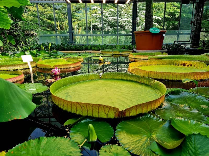 Botanical Garden - Image 2