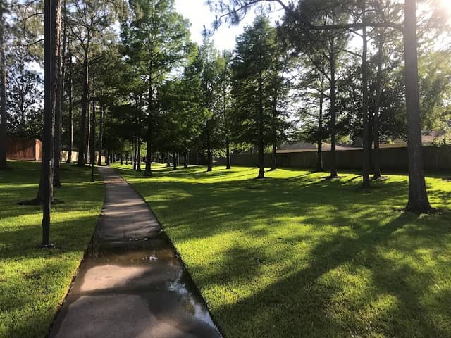 Greenbelt Park - Image 2