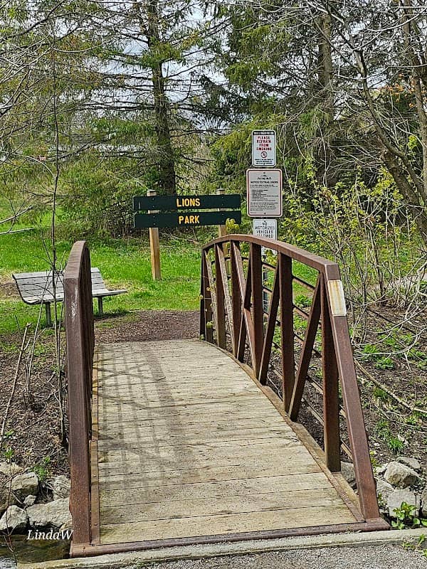 Lions Park - Image 2