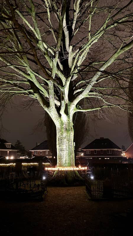 Herinnering Verlicht - Image 1