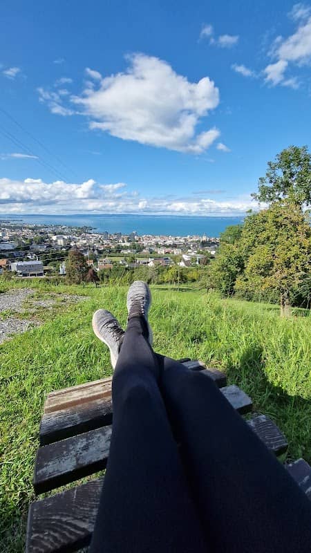 Schaukel mit Blick auf den Bodensee - Image 1
